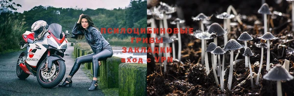 ALPHA PVP Семёнов