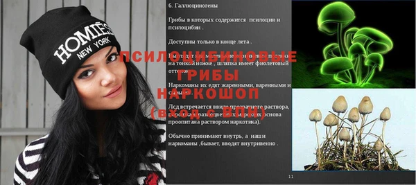 прущие крисы Беломорск