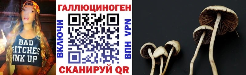 mega как войти  Безенчук  Галлюциногенные грибы мицелий 